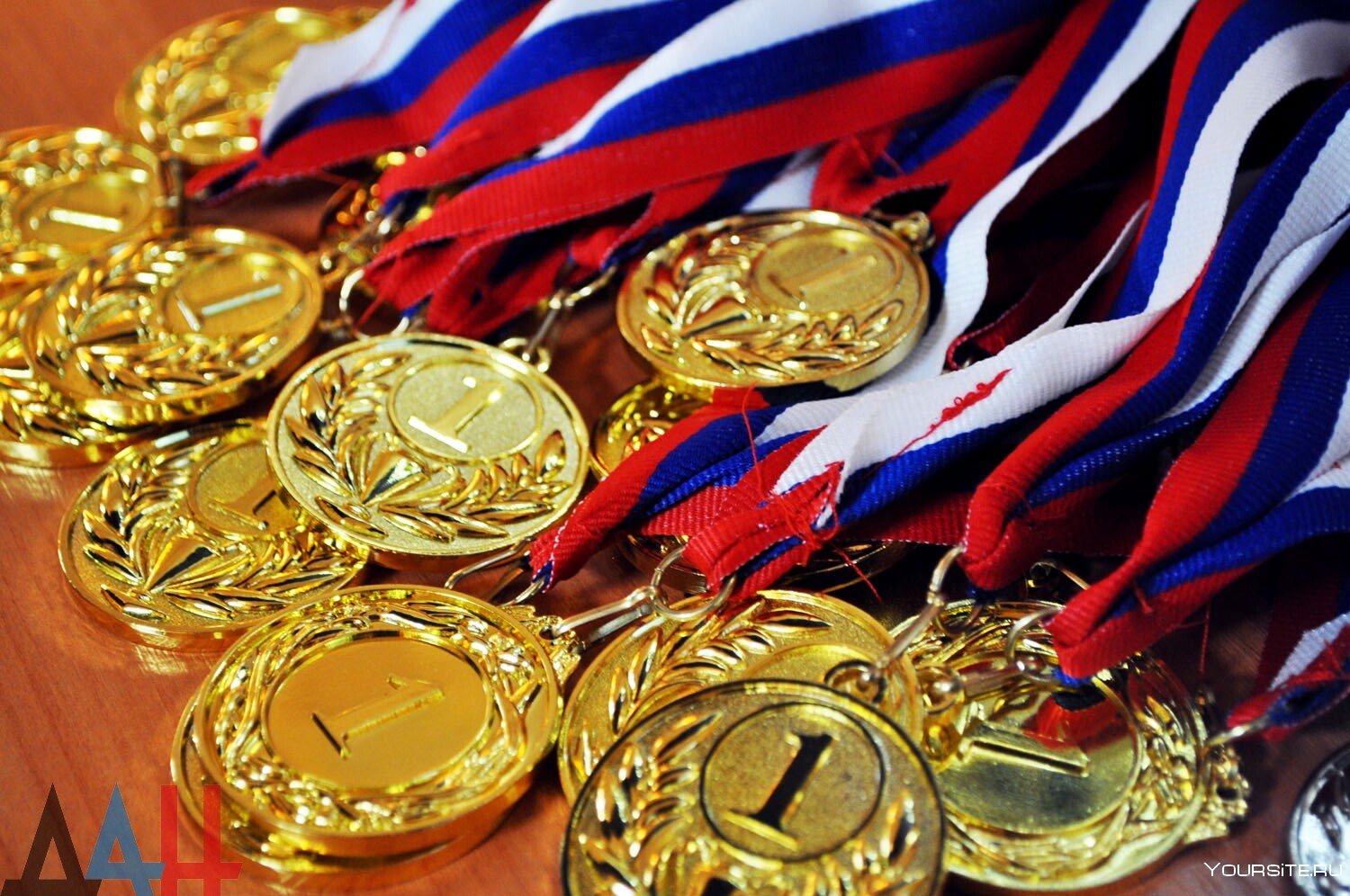 Изображение: Рязанские спортсмены завоевали свыше 460 медалей за май 2023 года