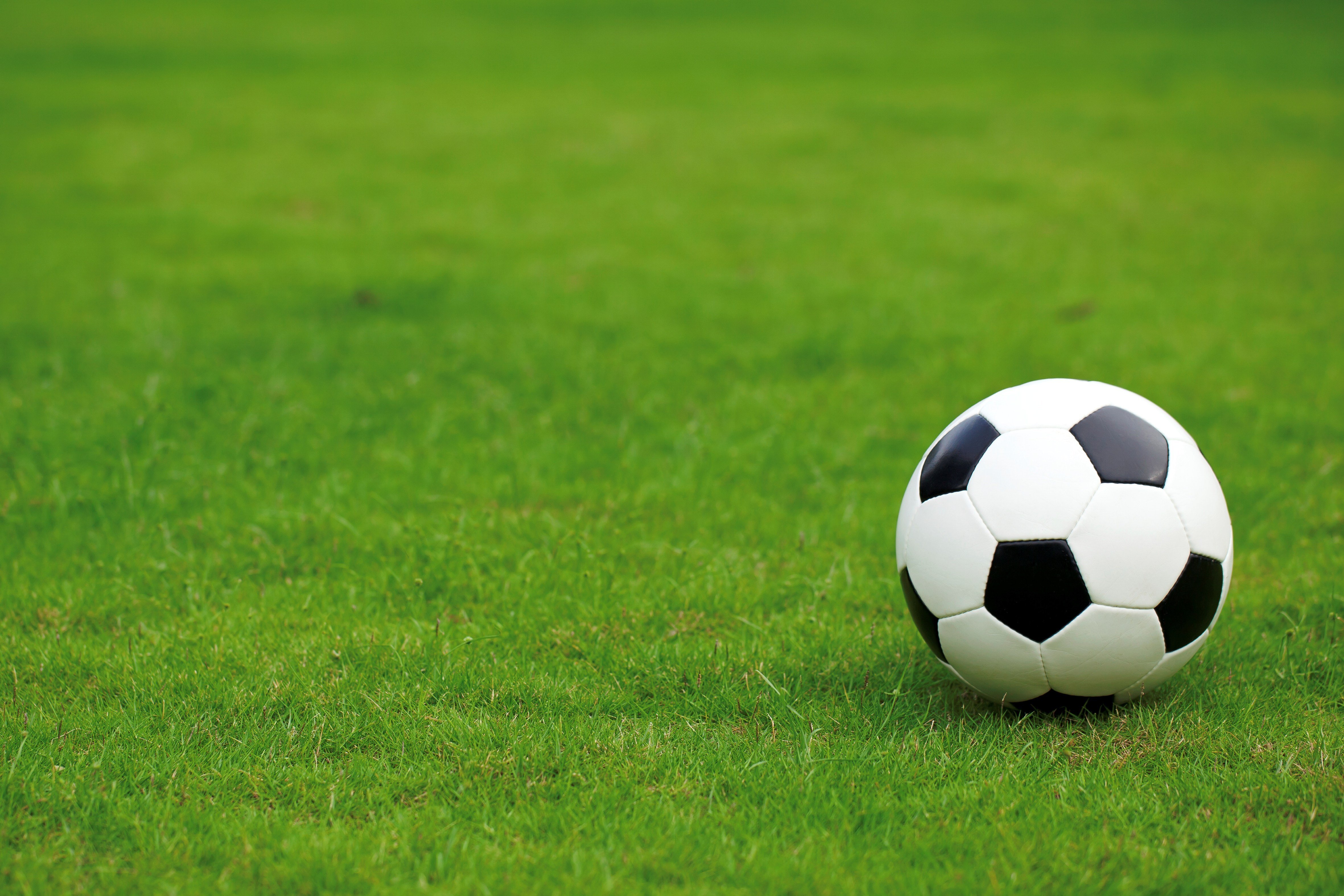 Сайт футбольный футбол. Футбол картинки. Футбольный мяч на поле. Футбольный мяч на газоне. Футбольный фон.